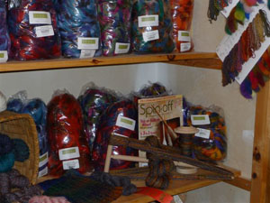 Northern Lights Roving